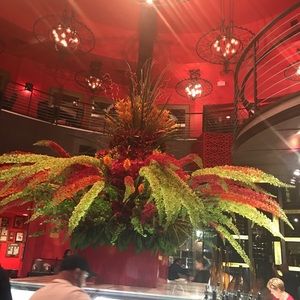 Meet your Posher, Betty